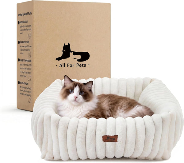 Cute Dog Bed for Small Dogs & Cats,Washable Fluffy Cat Beds for Indoor Cats, Rectangle Orthopedic Memory Foam Puppy Beds with Anti-Slip Bottom, 20 X19 X 7 Inches, Cream(20X19X6Inchs)1