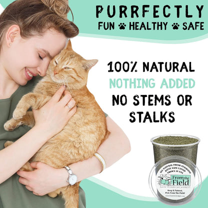 From the Field | Fine Ground Stalkless Catnip | Premium Usa-Grown Catnip for Toys & Playtime | Fresh, Potent, Non-Toxic, Eco-Friendly | Safe for Kittens & Cats | Resealable 6 Oz Tub3