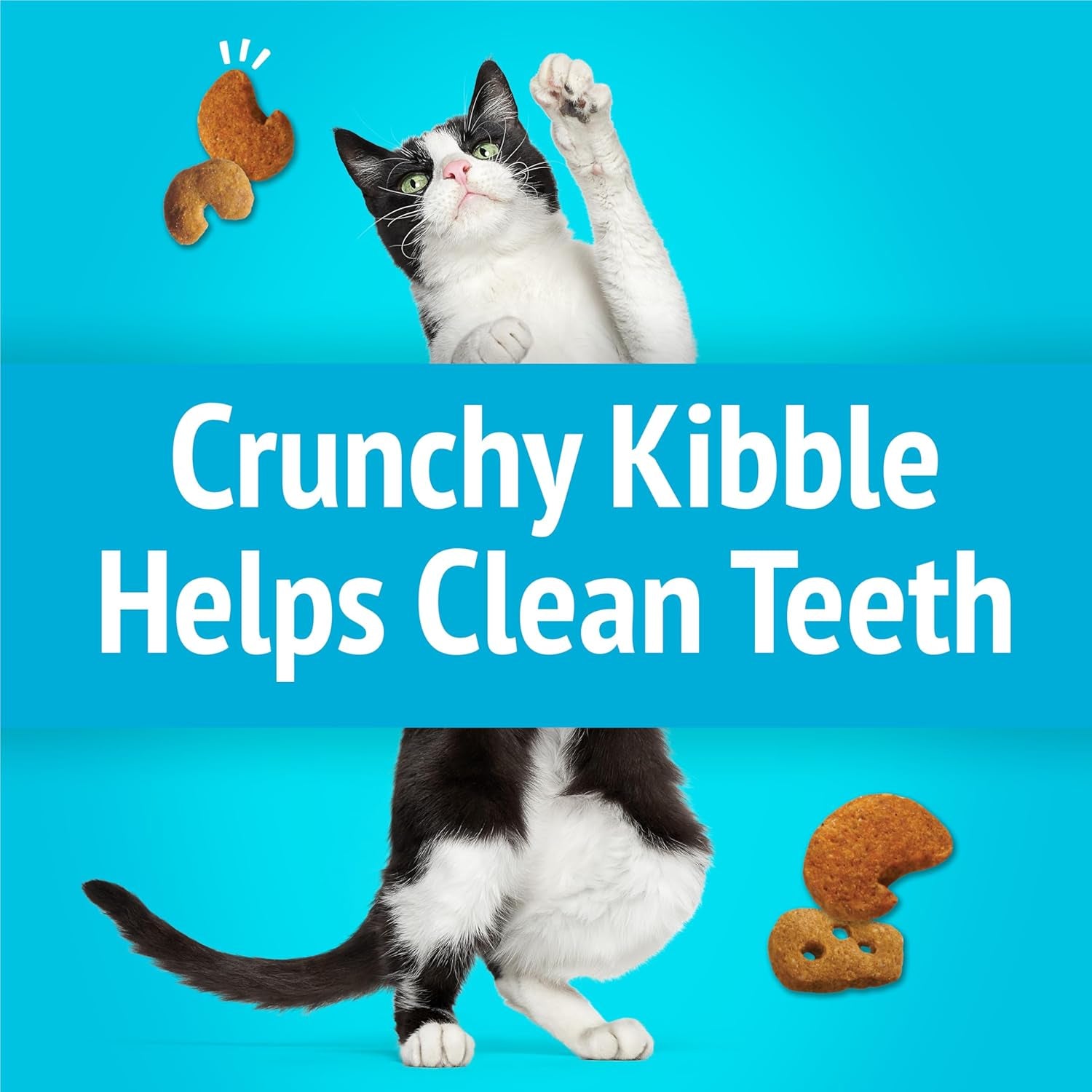 purina-friskies-cat-treats-party-mix-lobster-mac-n-cheese-flavors-pack-of-6-6-oz-pouches