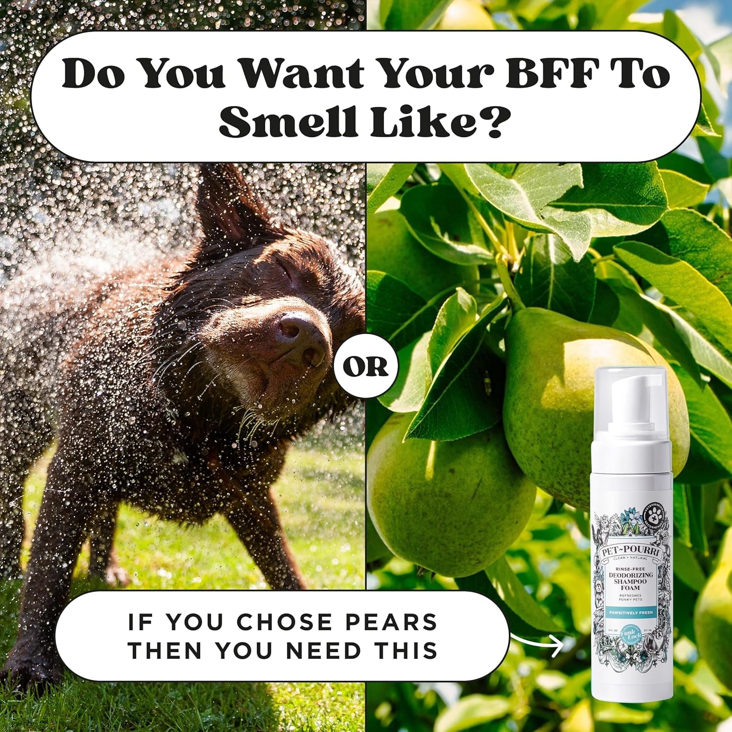 poo-pourri-rinse-free-deodorizing-dry-shampoo-for-dogs-cats-moisturizing-skin-coat-soothing-formula-plant-based-ingredients-pineapple-jasmine-pear-no-rinse-foam-shampoo-for-pet-odor