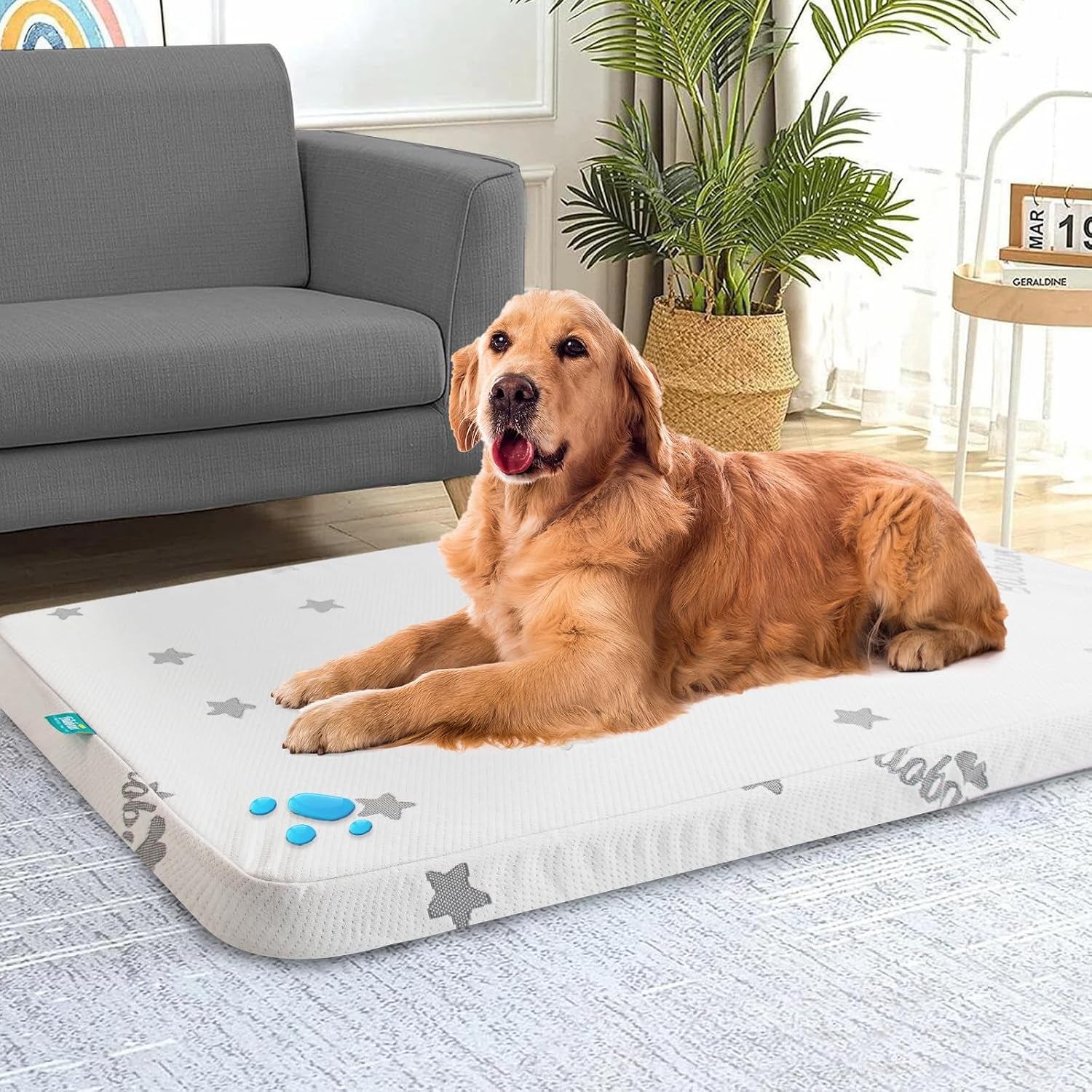 waterproof-dog-bed-for-large-medium-dog-memory-foam-dog-beds-furniture-38-x-26-x-1-5-for-large-sized-dogs-with-anti-slip-washable-removable-cover-soft-flannel-top-pet-beds-grey