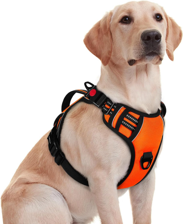 Rabbitgoo Large Dog Harness, Easy Wear with 3 Buckles and Lift Handle | No Pull with Front Clip for Walking, Adjustable Soft Padded, Reflective, Easy Control, Pink, Large17