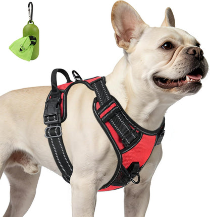 Joytale No Pull Dog Harness Medium Sized Dog, Front Clip, Black | Grab Handle for Instant Control, Padded & Adjustable Vest, Sturdy Metal D-Rings, for Safe Training & Daily Walking7