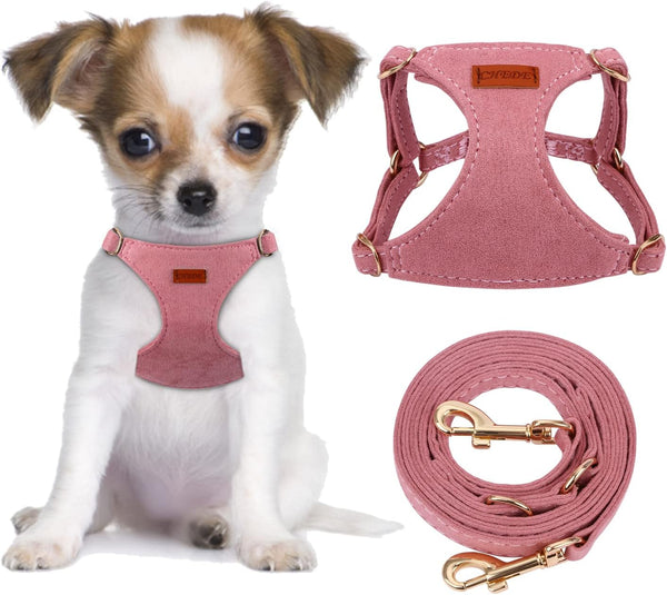 CHEDE No Pull Puppy Harness and Multifunction Dog Leash Set- 8 Colors Soft Adjustable No Choke Escape Proof Cute,Lightweight Pet Vest Harness for Small and Medium Dog…15