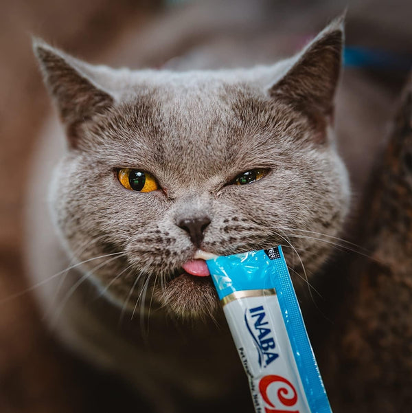 INABA Churu Lickable Grain-Free Purée Cat Treats, 25 Tuna & 25 Chicken | Grain-Free, Lickable, Squeezable Creamy Purée, Treat/Topper7