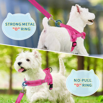 Slowton No Pull Small Dog Harness and Leash Set, Puppy Soft Vest Harness Neck & Chest Adjustable, Reflective Lightweight Harness & Anti-Twist Pet Lead Combo for Small Medium Dogs (Fuchsia, XXS)4