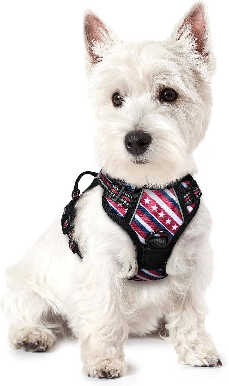 rabbitgoo-dog-harness-no-pull-for-large-dogs-with-2-leash-clips-pet-vest-no-choke-with-handle-adjustable-soft-padded-reflective-easy-control-for-walking-black-large