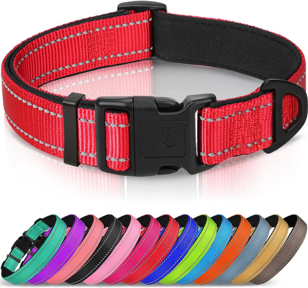Joytale Reflective Dog Collar, Adjustable Neoprene Padded, Teal L | Breathable Nylon for Large Dogs, No Chafing on Walks and Outdoor Hikes, Tear-Resistant Webbing, Metal D-Ring, Night Safety20