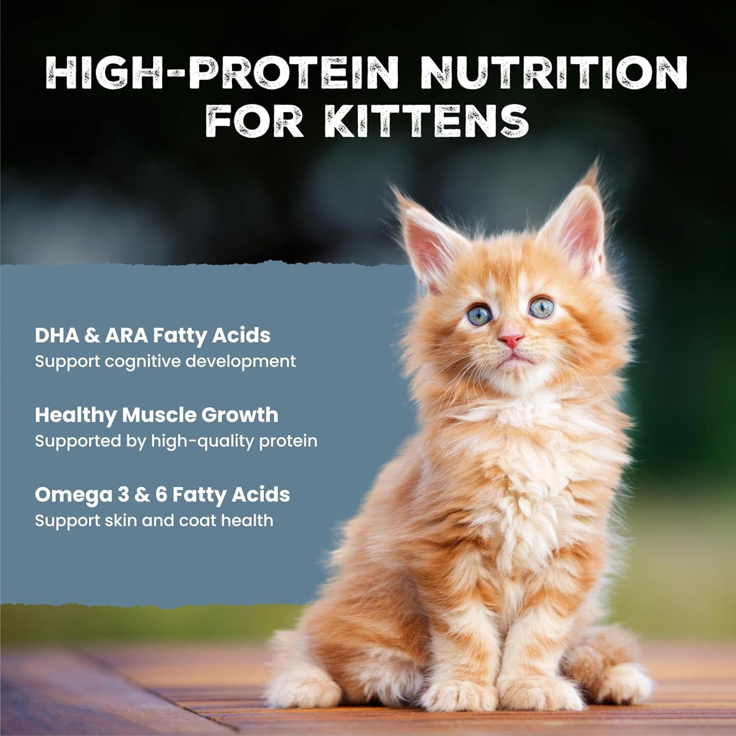 blue-buffalo-wilderness-kitten-grain-free-chicken-pate-salmon-pate-wet-cat-food-with-dha-high-protein-made-with-natural-ingredients-supports-healthy-growth-development-3-oz-each-6-count
