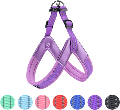 EXCELLENT ELITE SPANKER No Pull Dog Harness Step-In Adjustable Reflective Vest Soft Padded Easy Pet Chest Strap with Leash Clips for Small Medium Large Dogs Walking Training(Pink-S)10