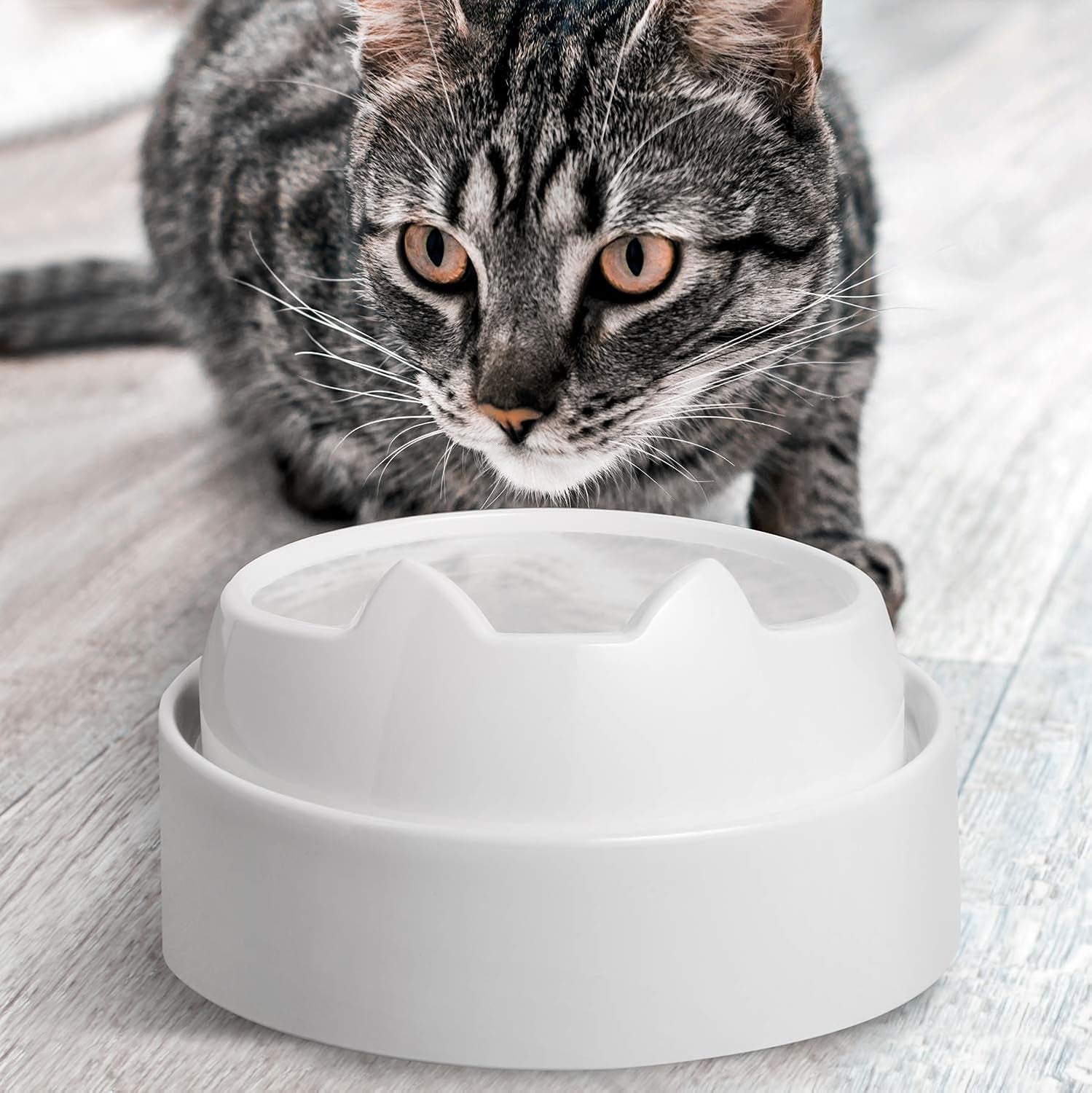 catguru-whisker-stress-free-cat-water-bowl-reliefs-whisker-fatigue-wide-cat-dish-non-slip-pet-feeding-bowl-shallow-pet-food-water-bowls-non-skid-bowls-for-cats-marshmallow