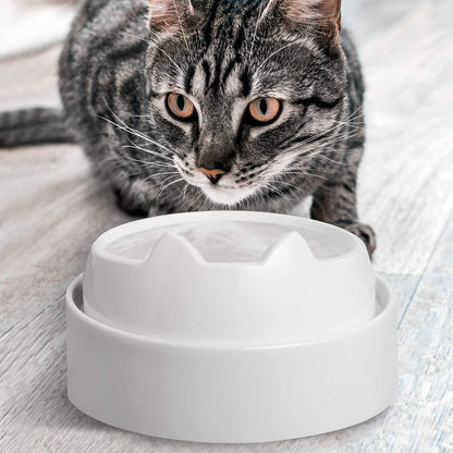 Catguru Whisker Stress Free Cat Water Bowl, Reliefs Whisker Fatigue, Wide Cat Dish, Non Slip Pet Feeding Bowl, Shallow Pet Food Water Bowls, Non Skid Bowls for Cats (Marshmallow)5