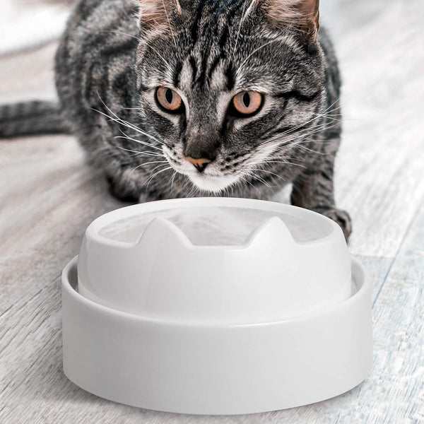 Catguru Whisker Stress Free Cat Water Bowl, Reliefs Whisker Fatigue, Wide Cat Dish, Non Slip Pet Feeding Bowl, Shallow Pet Food Water Bowls, Non Skid Bowls for Cats (Marshmallow)5