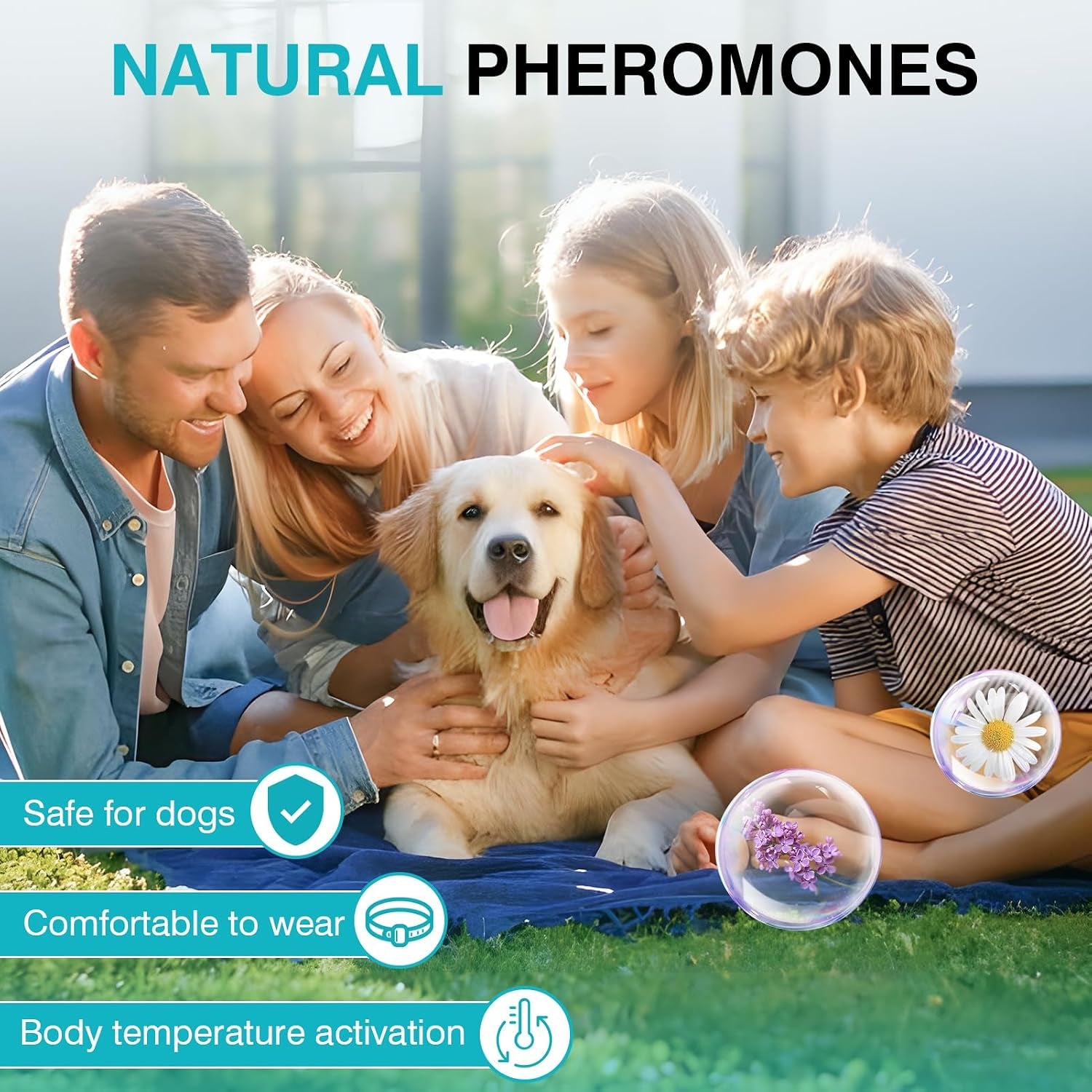 calming-collar-for-dogs-6-packs-dog-calming-pheromones-collar-separation-anxiety-and-stress-relief-anti-anxiety-60-days-calm-pheromone-collars-for-small-medium-large-dogs-25-inch-adjustable-waterproof