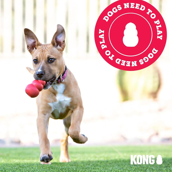 KONG Wubba Tug of War and Fetch Dog Toy, for XL Dogs | Indoor & Outdoor Toy for Puppy & Dog Playtime, Great for Tug of War & Fetch, Color Randomly Provided7