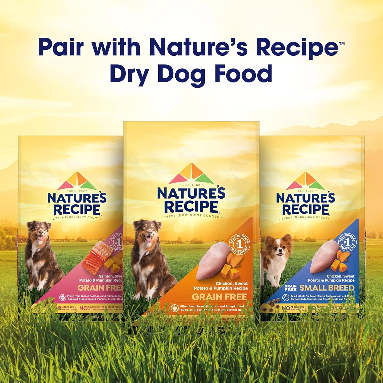 nature-s-recipe-chicken-salmon-and-turkey-recipes-variety-pack-wet-dog-food-12-2-75-oz-cups-2-count