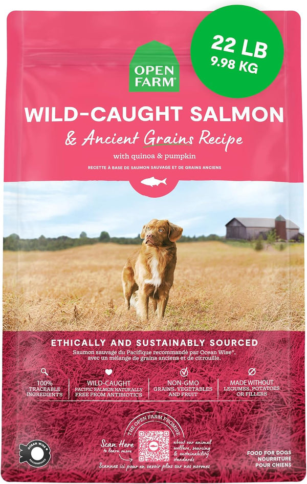 Open Farm Ancient Grains Dry Dog Food, Wild Caught Salmon Kibble, 22Lb Bag | All Life Stages, All Breed Sizes, Protein-Rich & Nutrient Dense, 100% Traceable Ingredients, Non-Gmo Fruits & Veggies.1