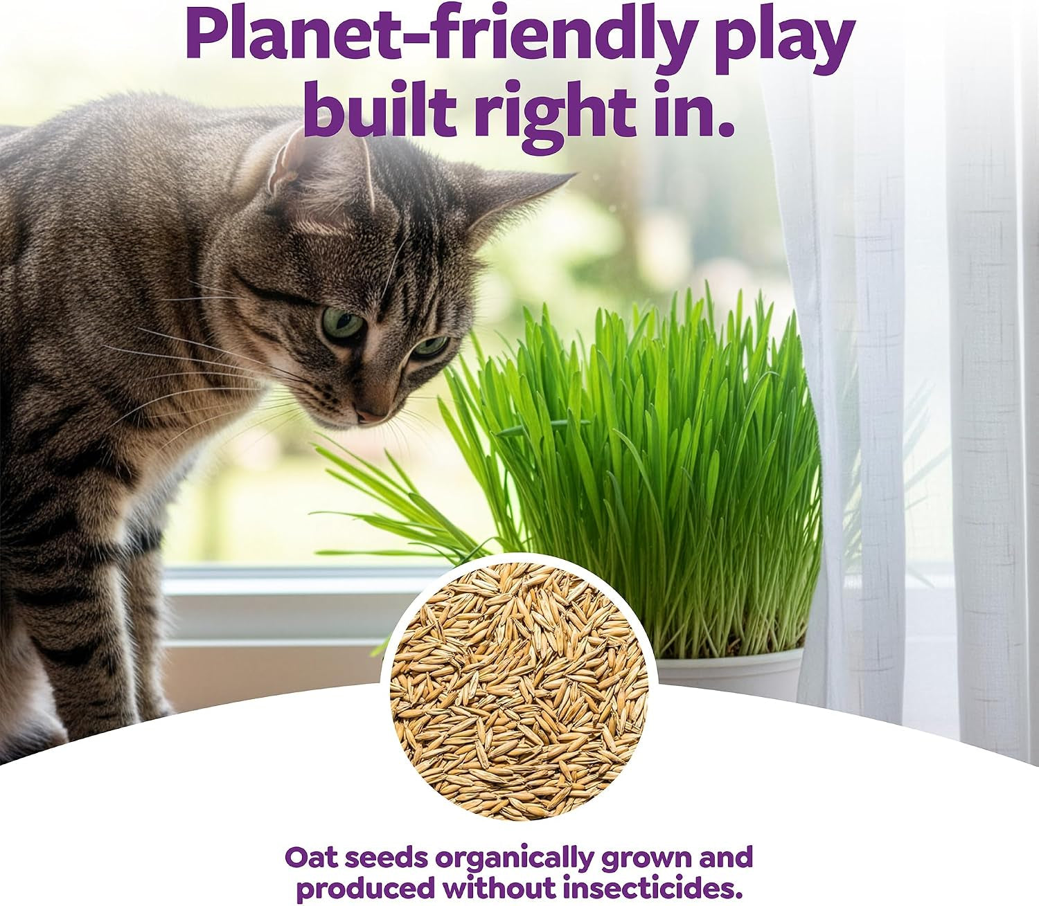 smartykat-sweet-greens-organic-oat-grass-all-in-one-cat-grass-grow-kit-easy-to-grow-to-support-digestion-hairball-reduction