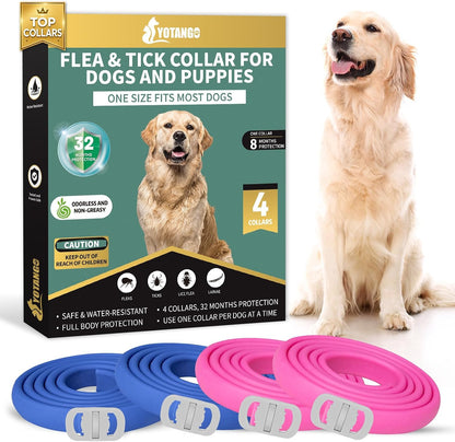 YOTANGO Flea Collar for Dogs, Dog Flea and Tick Collar, 4 Pack, 32 Months | Waterproof, Adjustable, and Lightweight for Dogs and Puppies. Four Collars Offer 32 Months and Start within 24 Hours.1