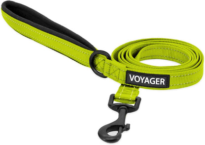 Best Pet Supplies Voyager Nylon Dog Leash - Fuchsia, Small | 5Ft in Length, 5/8" in Width, Reflective, Soft Neoprene Handle, Heavy Duty Metal Clips for Running, Walking & Training12