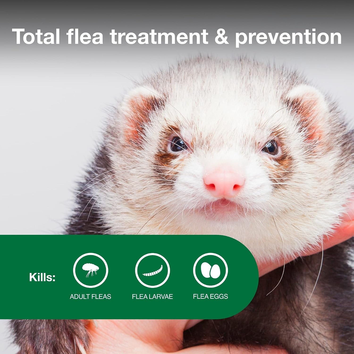 advantage-ii-ferret-vet-recommended-flea-treatment-prevention-ferret-1-lbs-2-month-supply