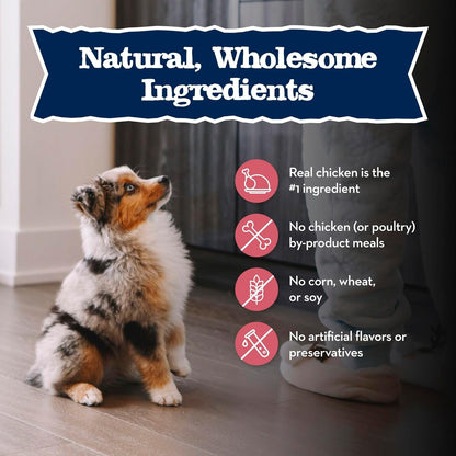 Blue Buffalo Baby Blue Natural Small Breed Puppy Dry Dog Food, Healthy Growth Formula with DHA, Chicken and Oatmeal Recipe, 4-Lb Bag6