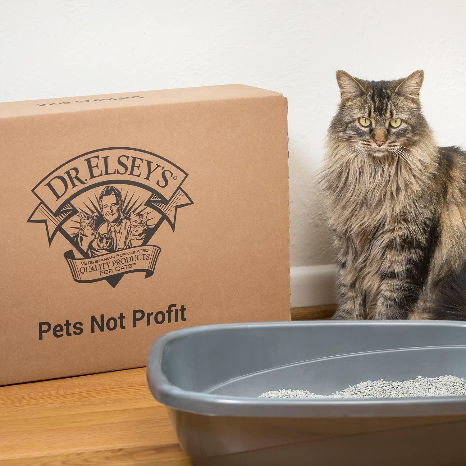 precious-cat-classic-premium-clumping-cat-litter-18-lb-bag