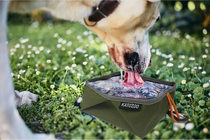 Travel Dog Bowls, 2 Pack 60Oz Collapsible Dog Bowls, Portable Food and Water Bowls for Walking, Camping, and Traveling, Suitable for Food and Water7