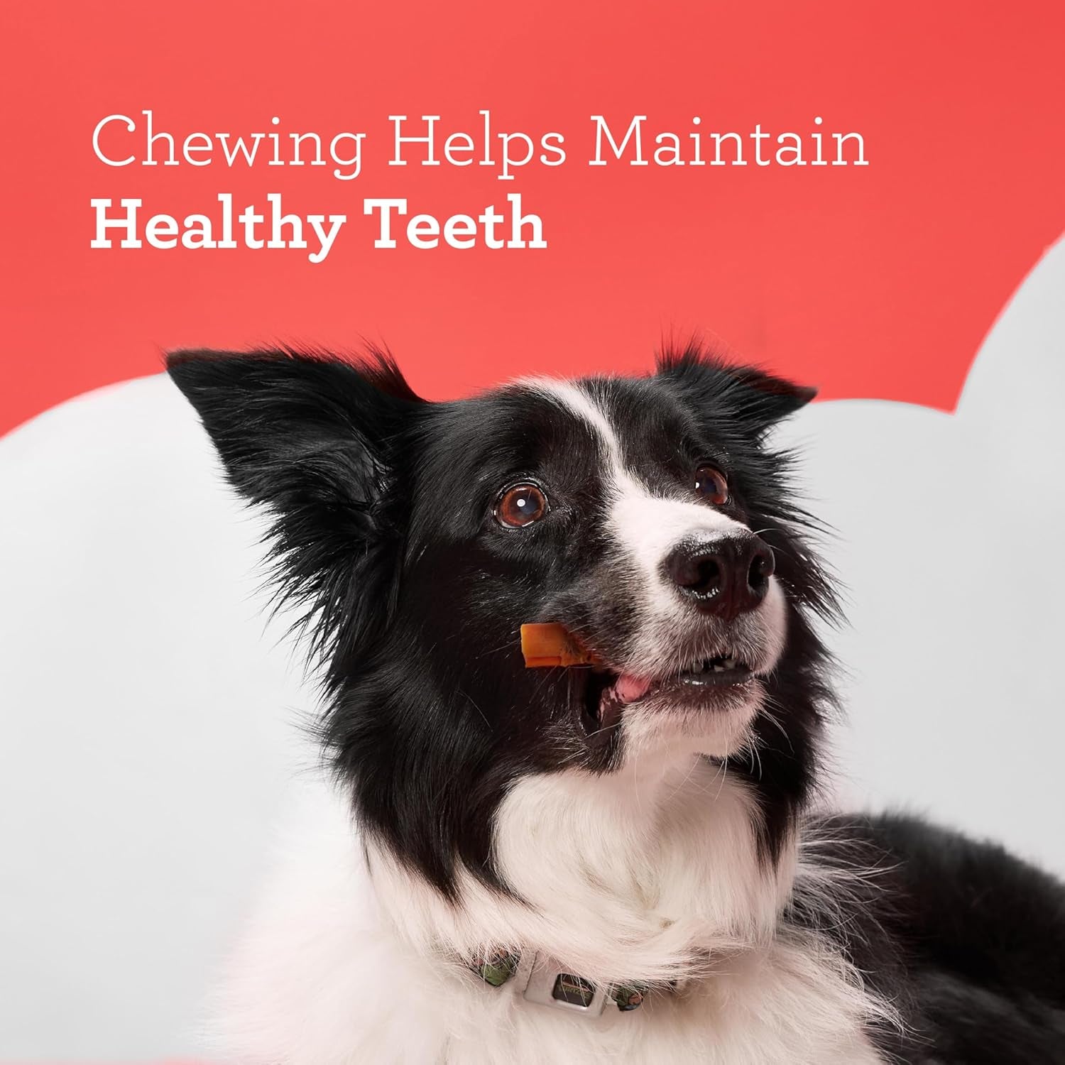 dreambone-chicken-rattleball-dog-treats-daily-rawhide-free-chew-digests-safely-with-real-protein-chicken-and-veggies-14-count