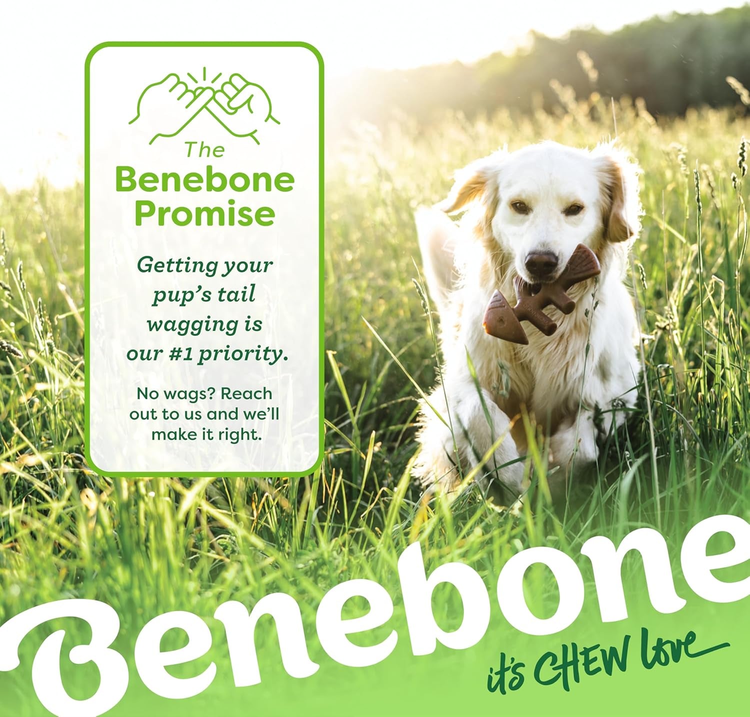 benebone-fishbone-durable-dog-chew-toy-for-aggressive-chewers-real-fish-made-in-usa-medium