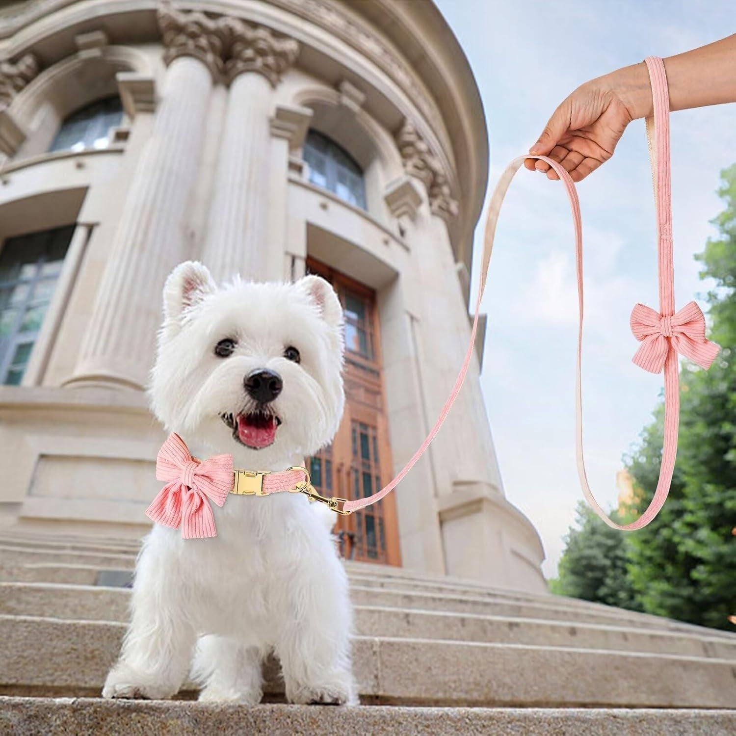 didog-cute-dog-collar-and-leash-set-with-large-bowtie-pink-s-girl-dog-collars-soft-and-adjustable-secure-metal-buckle-for-small-medium-dogs-s-neck-10-16