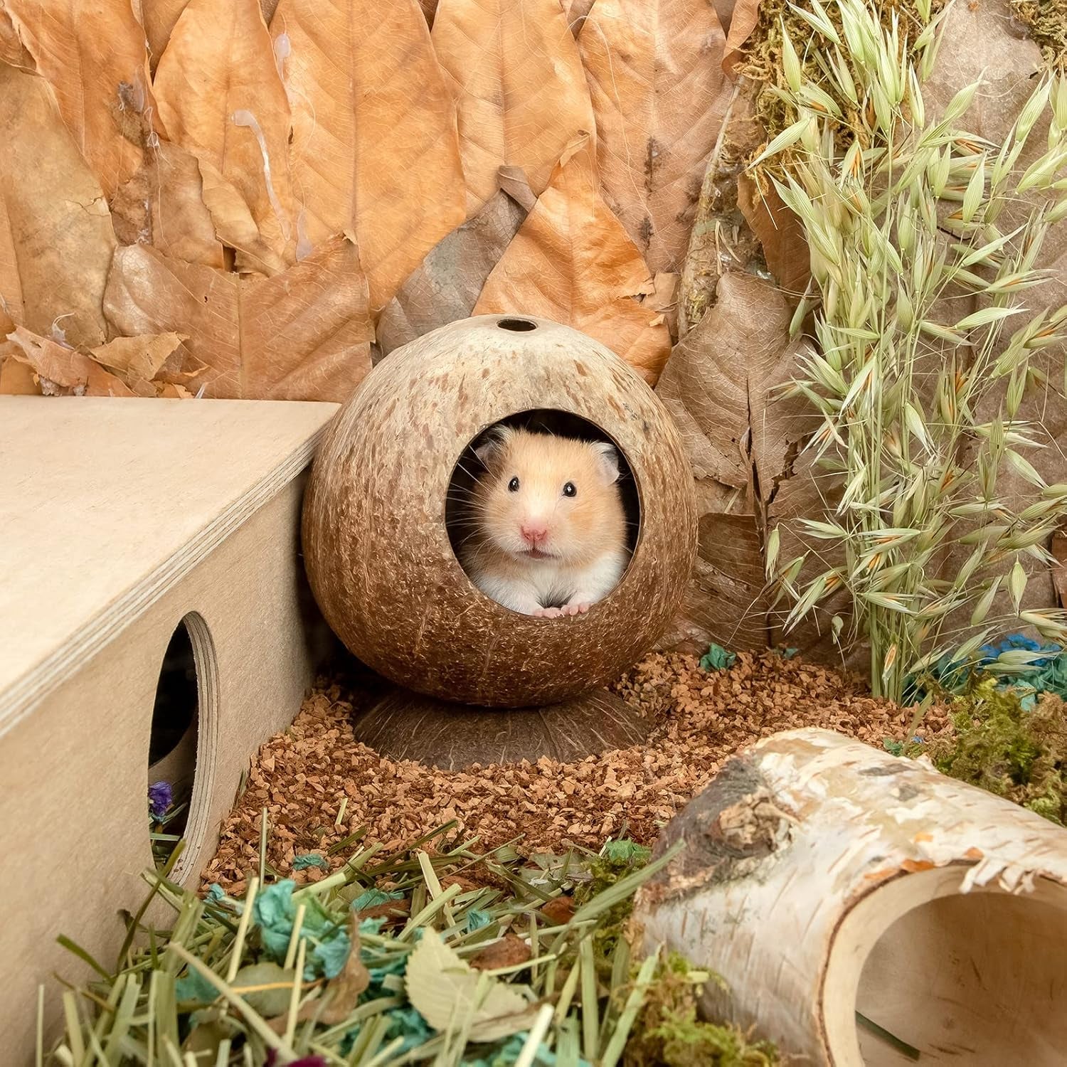andwe-coconut-hut-hamster-house-bed-for-gerbils-mice-small-animal-cage-habitat-decor