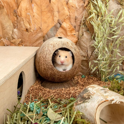 Andwe Coconut Hut Hamster House Bed for Gerbils Mice Small Animal Cage Habitat Decor5