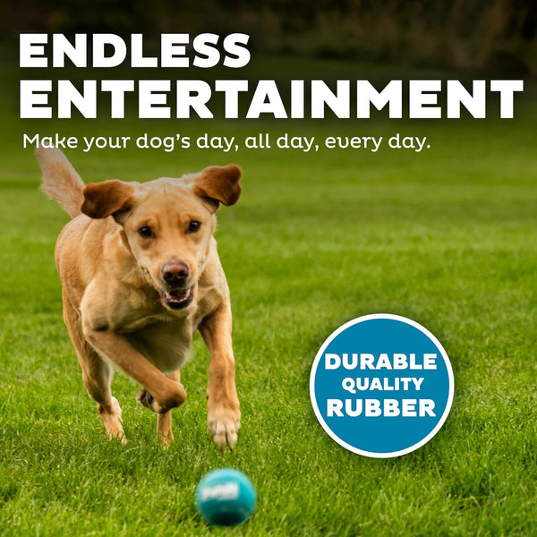 Outward Hound Squeaker Ballz – Squeaky Tennis Balls for Dogs under 50 Lbs, Interactive Dog Toy for Fetch & Training, Medium (2.5"), 4‑Pack4