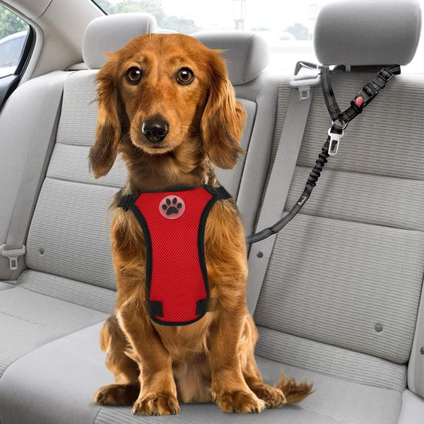 Slowton Dog Seat Belt for Car, 2 Pack Dog Car Harness Seatbelt Adjustable with Elastic Bungee Buffer, 2 in 1 Pet Car Leash Headrest Restraint Dog Reflective Safety Tether (Black, Headrest+Clip)7