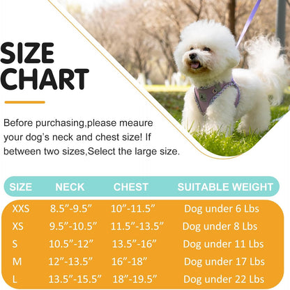 Dog Harness & Leash Set - No Pull Soft Breathable Small Dog Harness, Adjustable Reflective Step-In Vest for Puppy, Kitten, Cats2