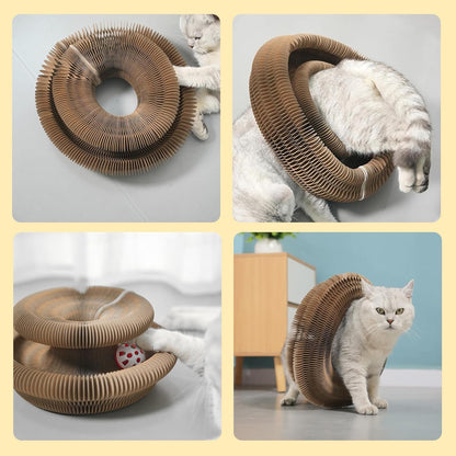Kitty Curls Cat Toy,Magic Organ Cat Toy,Cat Scratcher for Grinding Claw Cardboard Cat Toys,Interactive Scratch Pad with Toy Bell Ball,Furniture Protection,Entertainment Toy for Kittens and Adult Cats7
