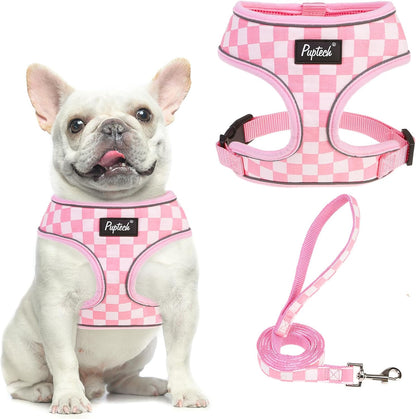 PUPTECK Soft Mesh Dog Harness Small Sized and Leash Set Pet Puppy Cat Comfort Padded Vest No Pull Harnesses, Beige, S11