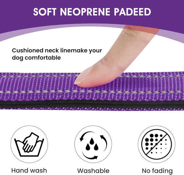 Reflective Dog Collar Padded with Soft Neoprene Breathable Quick Release Basic Dog Collars for Medium Dogs Purple Girl3