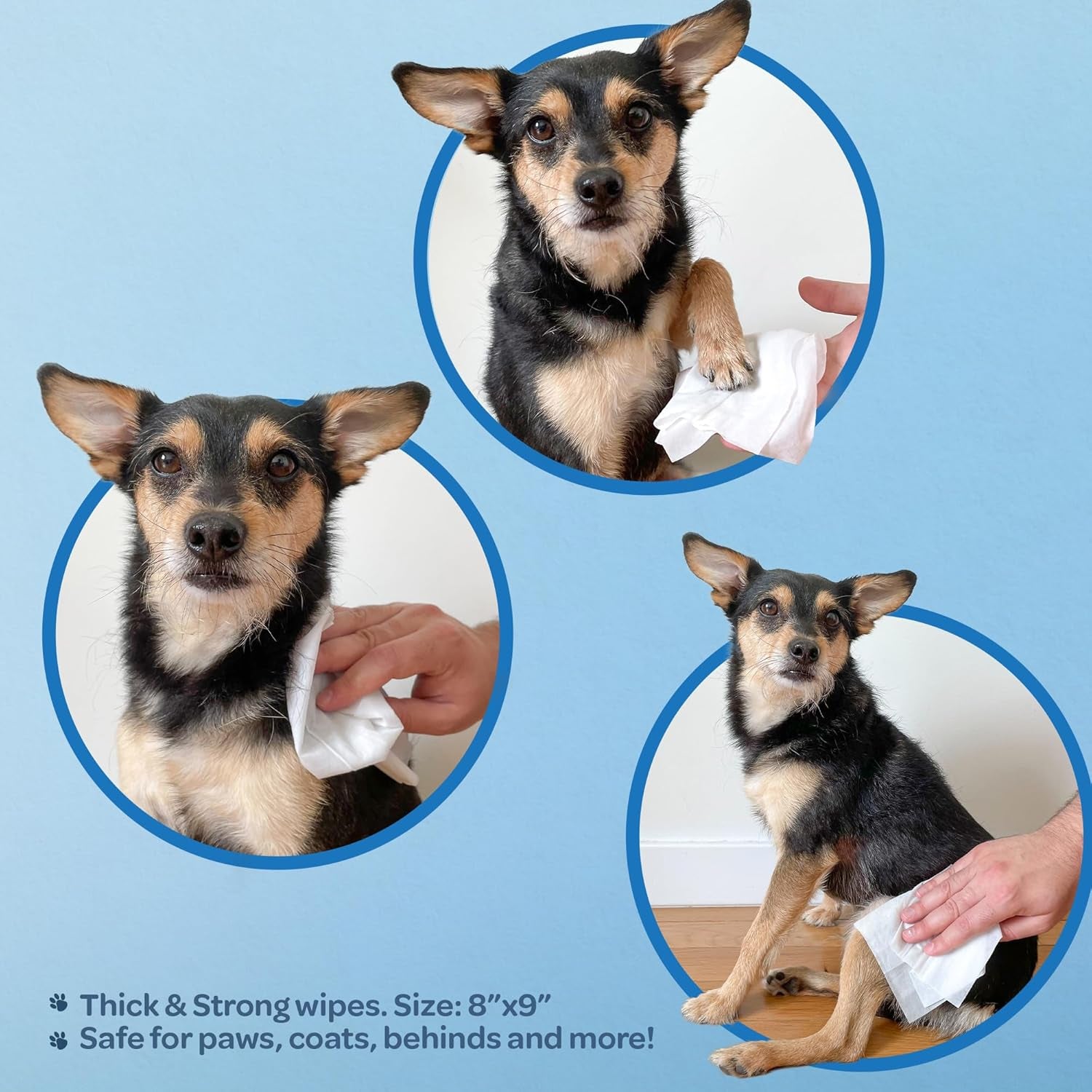 best-pet-supplies-cleaning-dog-wipes-moisturizing-coconut-100-count-coconut-scented-large-8x9-pet-wipes-vitamin-e-puppy-cat-safe-gentle-grooming-resealable-pouch-prevents-drying