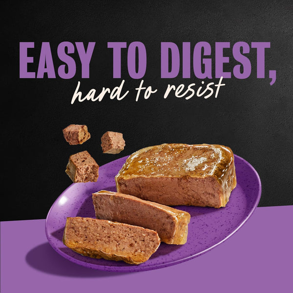 Cesar Classic Loaf in Sauce Wet Dog Food, Filet Mignon, 3.5 Oz, 24 Count | Made in USA, Real Beef #1 Ingredient, No Fillers/Added Sugar/Artificial Flavors, Use as Meal or Topper, Easy Peel Trays10