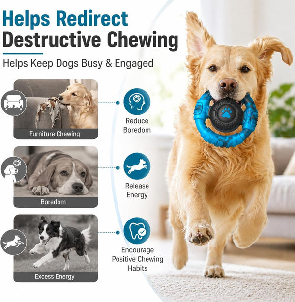 Pamlulu Tough Dog Toys for Aggressive Chewers, Indestructible Dog Toy for Large Dogs, Nylon Chew Toys for Medium Large Breed, Interactive Dog Toys to Keep Them Busy, Dog Birthday6