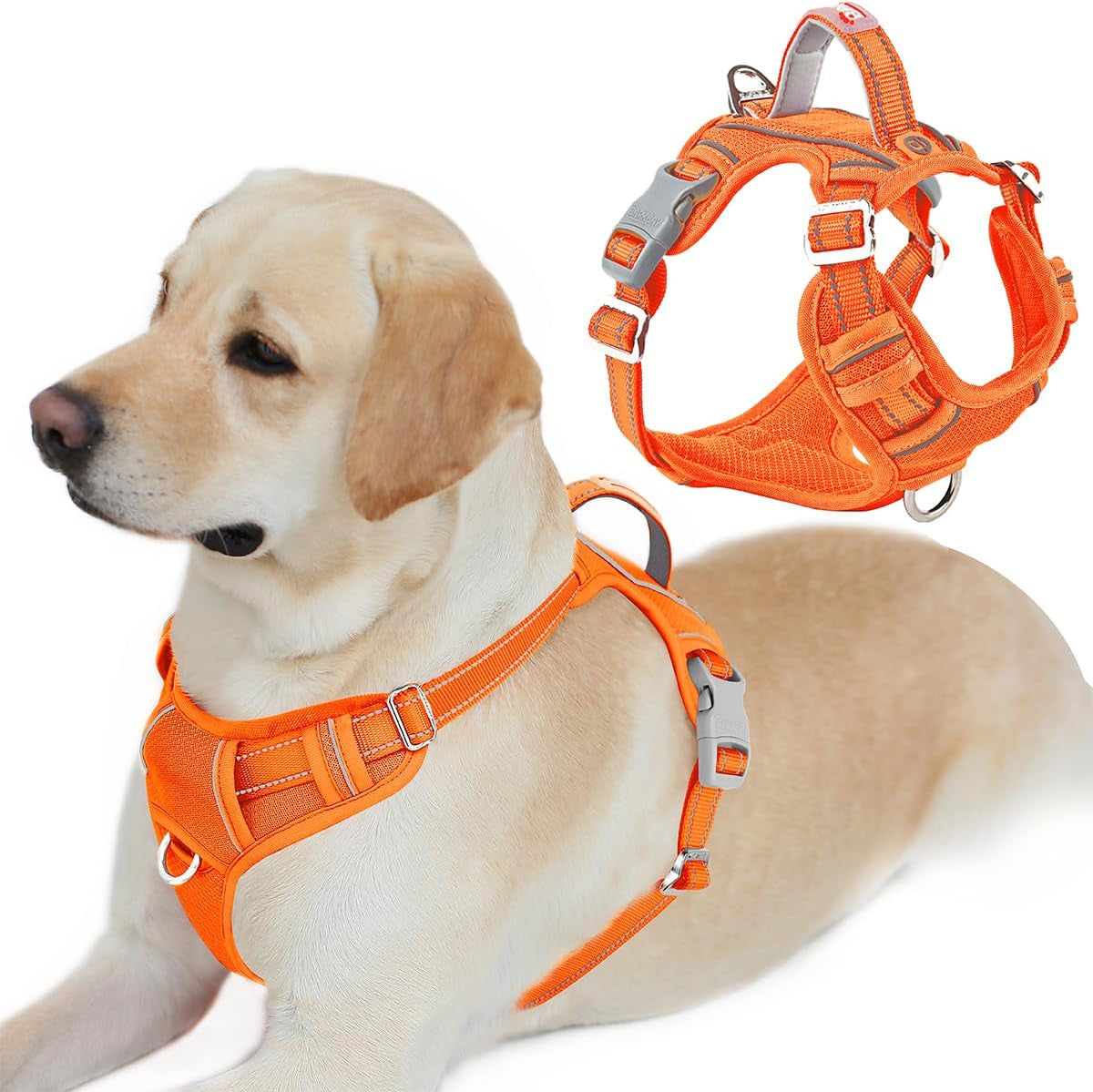 barkbay-dog-harness-no-pull-with-id-tag-pocket-heavy-duty-reflective-easy-control-for-large-dogsblue-l