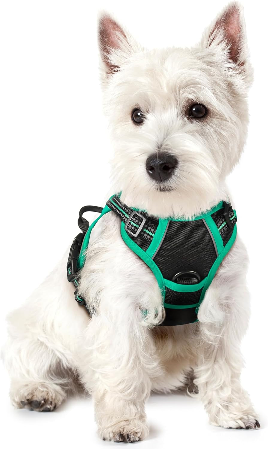 rabbitgoo-dog-harness-no-pull-for-large-dogs-with-2-leash-clips-pet-vest-no-choke-with-handle-adjustable-soft-padded-reflective-easy-control-for-walking-black-large