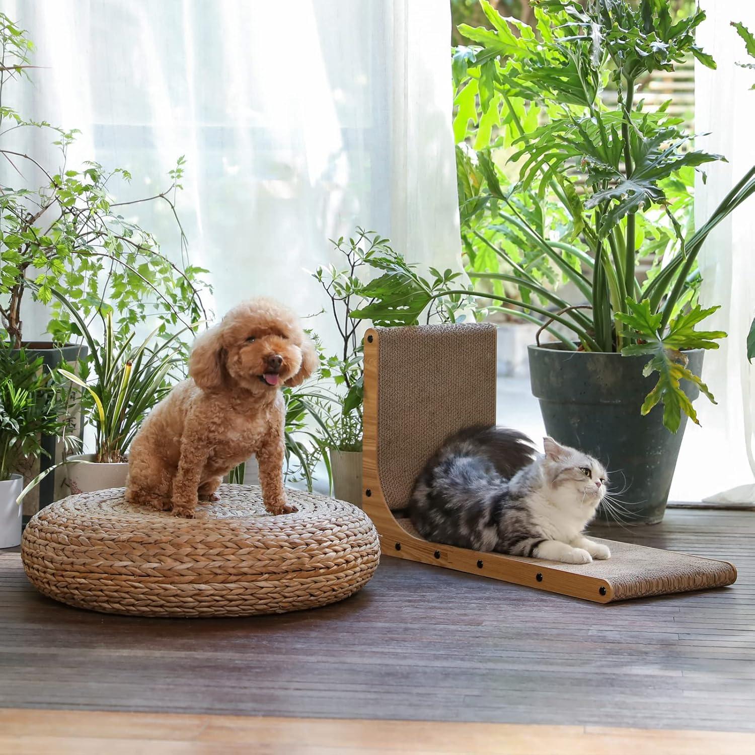 dog-on-woven-pet-bed-and-cat-on-wooden-scratcher-near-plants