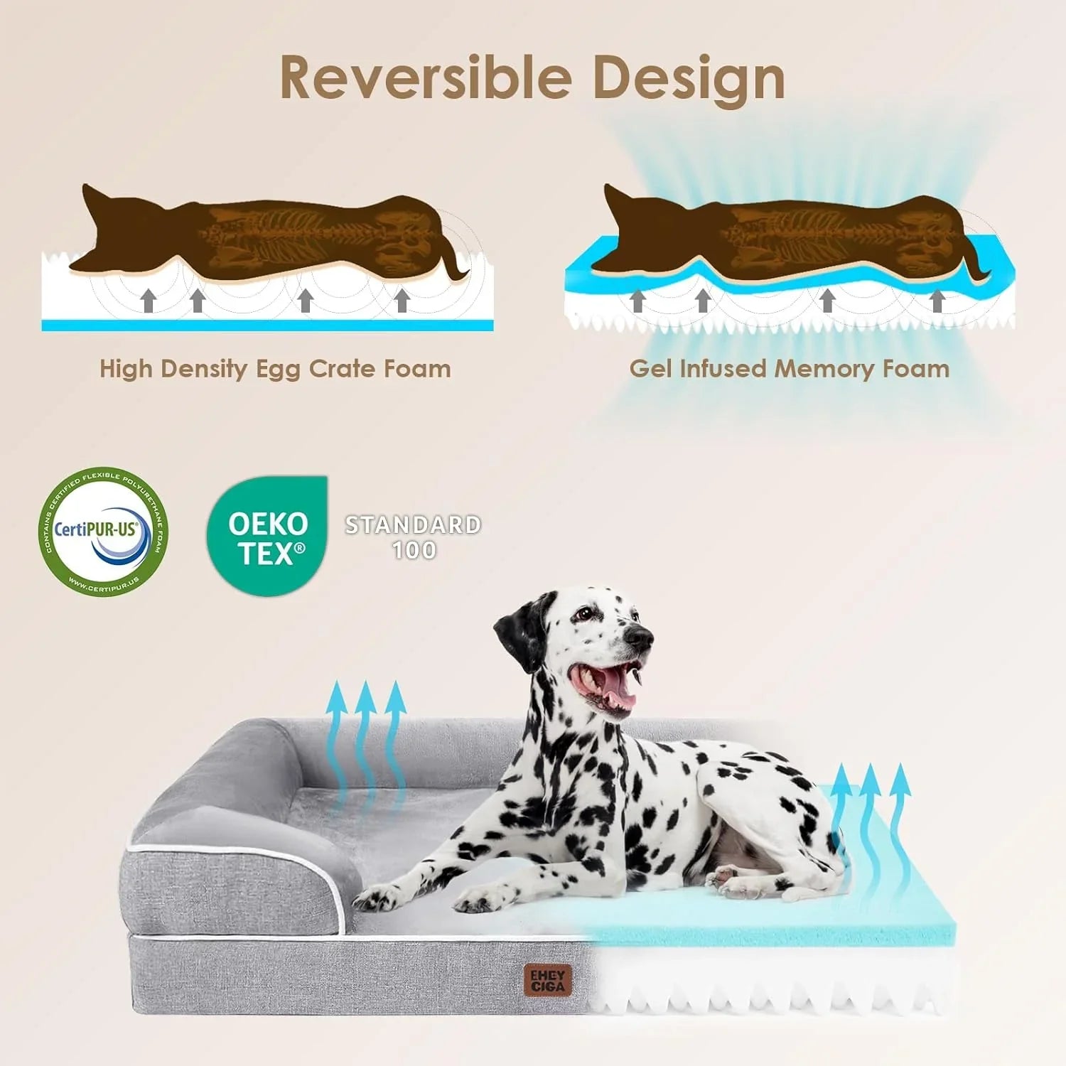 dalmatian-dog-on-reversible-pet-bed-with-egg-crate-and-gel-memory-foam-layers-for-comfort