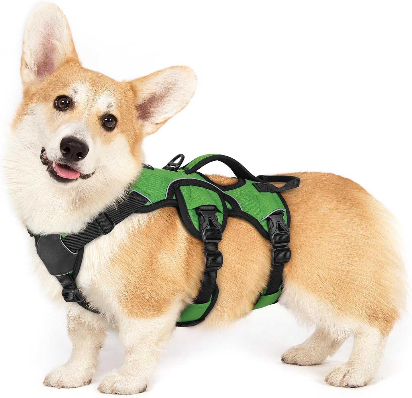 rabbitgoo-escape-proof-dog-harness-for-large-no-pull-with-lift-handle-no-escape-full-soft-padded-reflective-adjustable-vest-leash-clip-for-walking-hiking-training-black-large