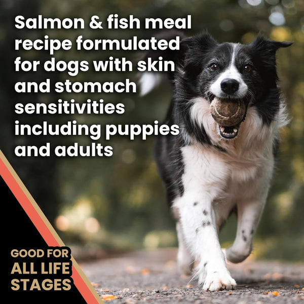 VICTOR Super Premium Dog Food — Sensitive Skin and Stomach — Salmon Meal & Brown Rice Recipe Dry Kibble — Gluten Free, No Chicken, Ideal for Dogs with Allergies — Adult and Puppy Food, 5 Lb4