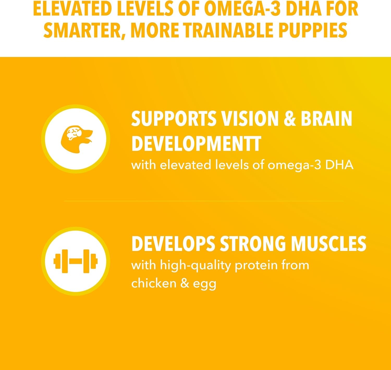 iams-proactive-health-large-breed-puppy-dry-dog-food-chicken-30-6-lb-real-chicken-1-ingredient-omega-3-dha-for-cognitive-vision-development-optimal-calcium-for-bones-joints-vitamin-e