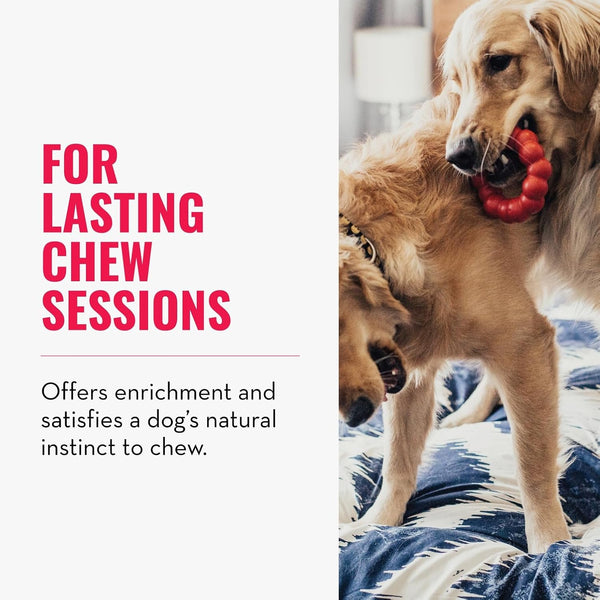 KONG Ring - Natural Rubber Ring Toy for Healthy Chewing Habits - Chew Toy Supports Dog Dental Health - Dog Toy Supports Instincts during Playtime - for Small/Medium Dogs3